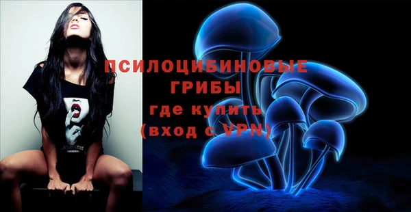 ПСИЛОЦИБИНОВЫЕ ГРИБЫ Яранск