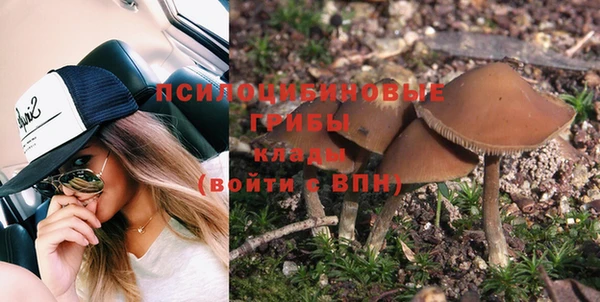 ПСИЛОЦИБИНОВЫЕ ГРИБЫ Яранск