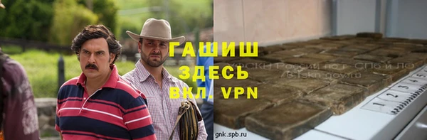 apvp Ельня