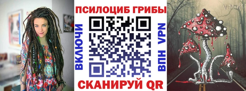 Псилоцибиновые грибы GOLDEN TEACHER МЕГА как зайти Вилючинск